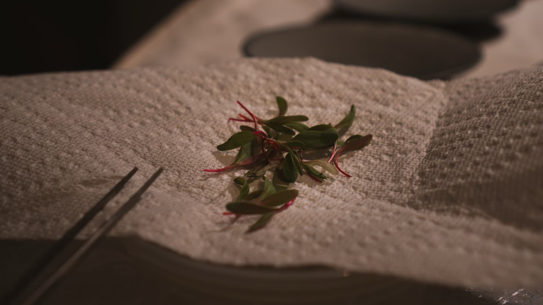 Herbs and micros as garnish