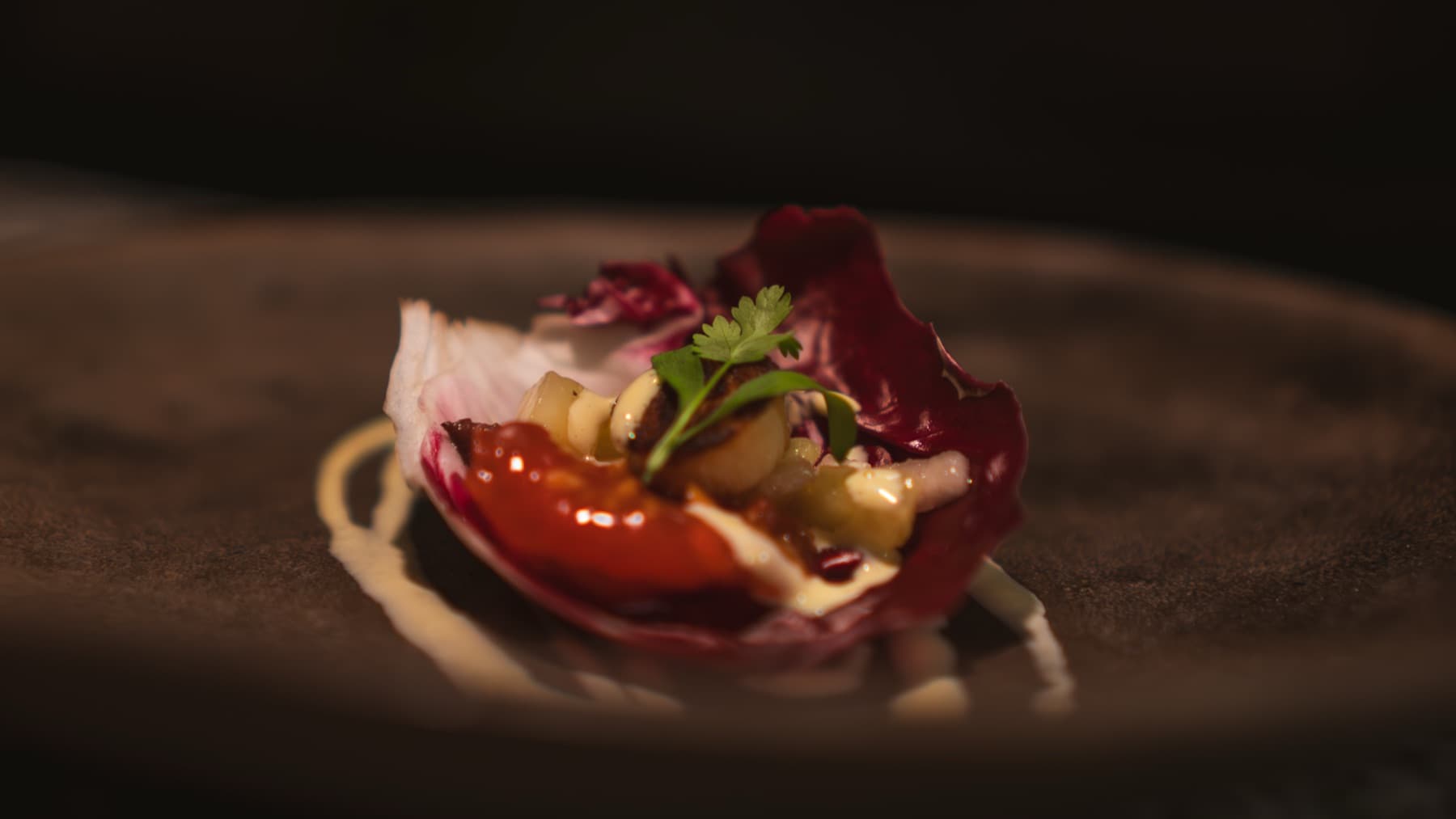 Radicchio and citrus plated