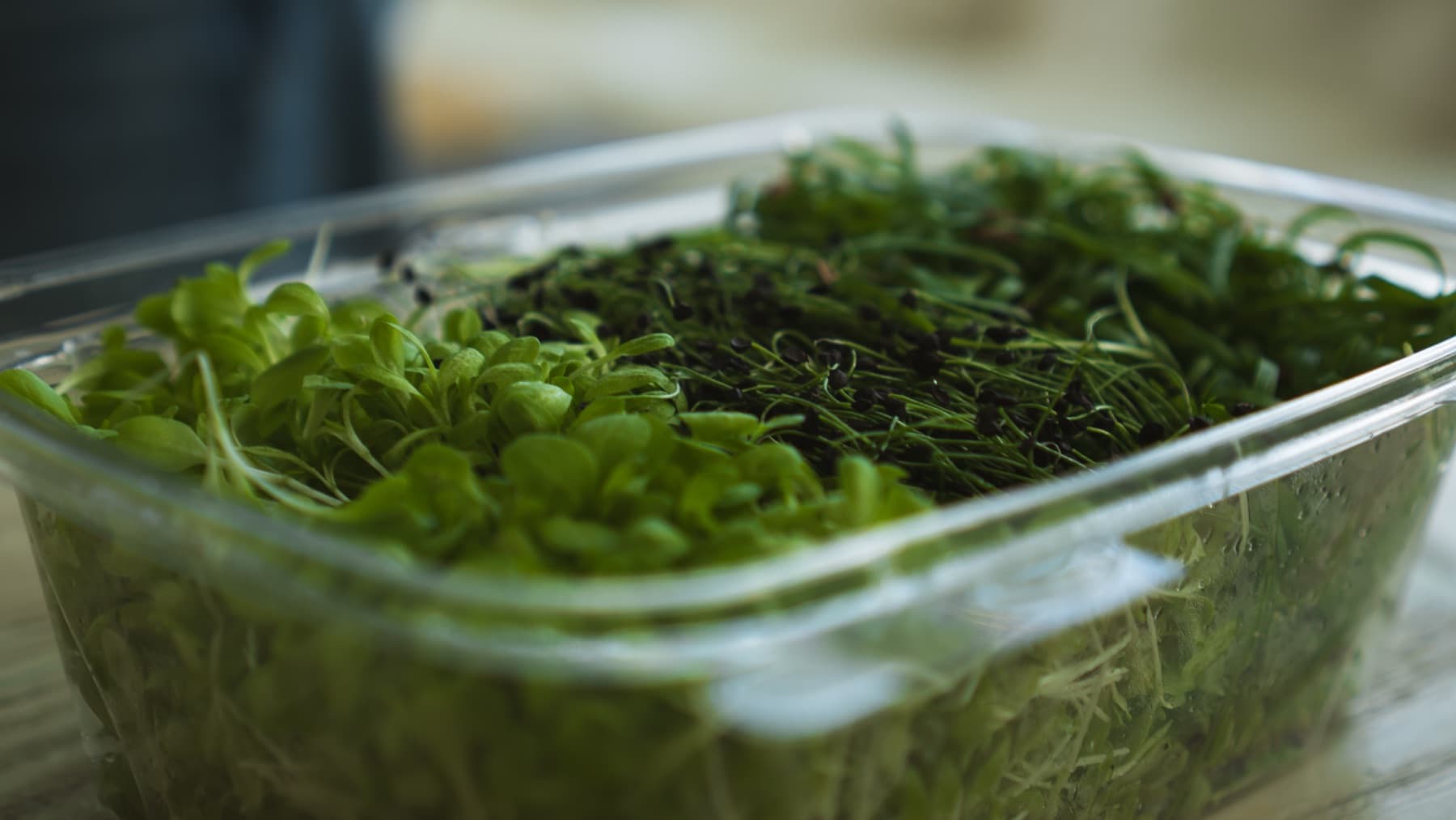 Fresh greens being plated